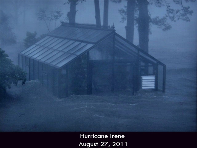 Hurricane-Greenhouse-6